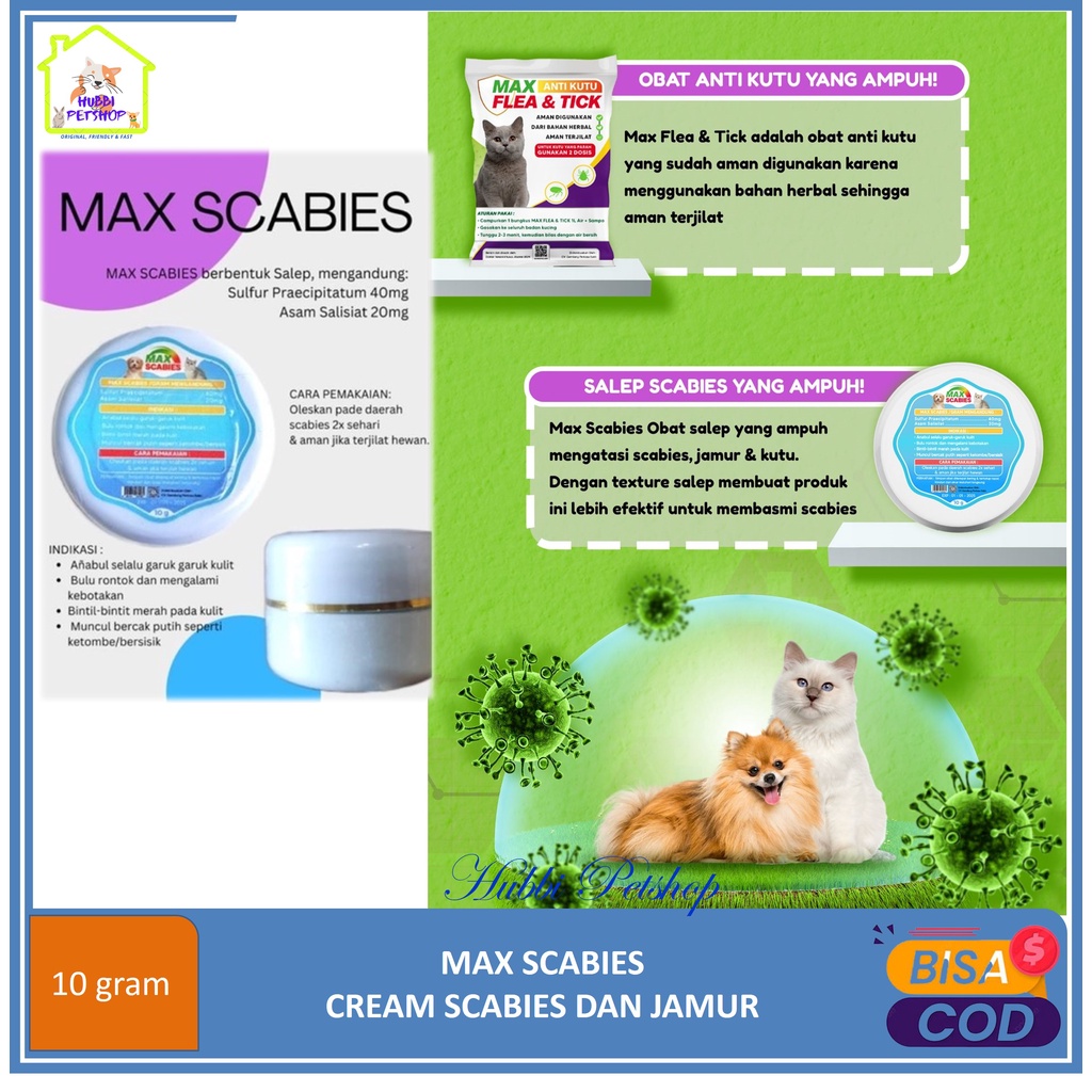 MAX SCABIES Salep obat infeksi kulit kucing mengobati jamur koreng luka kudis kurap