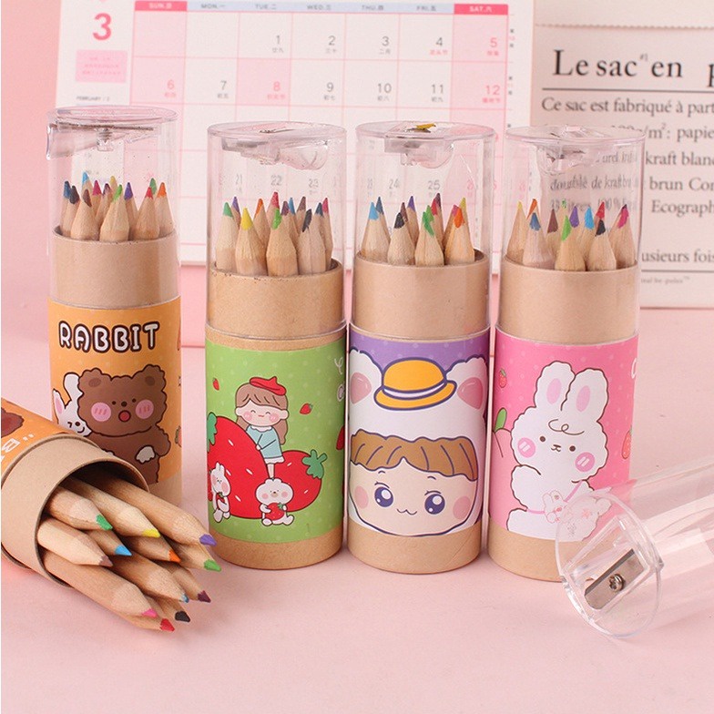 SS Pensil Warna 12 IN 1 + Serutan Pensil Color Pencils Quality Pensil Warna Karakter Kemasan Tabung Murah Import