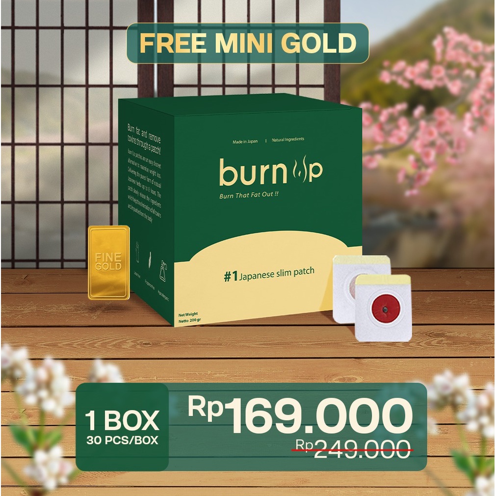 Burn Up 1box Free MINI GOLD