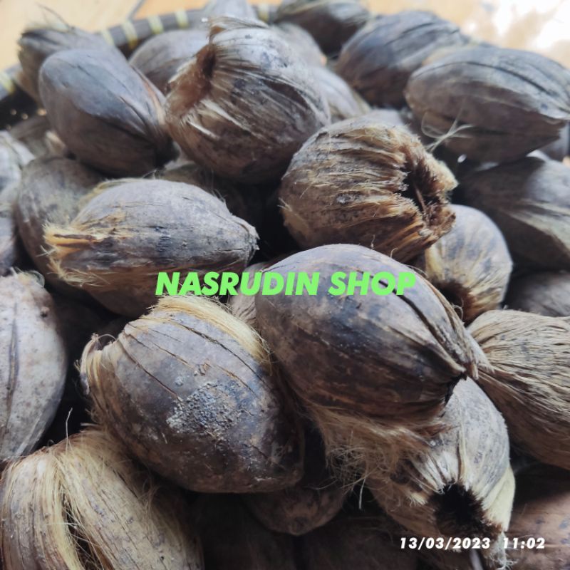 SABUT PINANG UTUH 1KG / KULIT PINANG KERING MEDIA TANAM ANGGREK