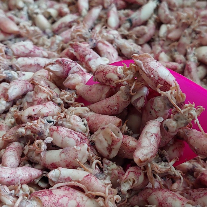 

[Ready Stock]-Cod cumi baby asin 1kg/baby cumi asin 1kg - sedang 4-6 cm