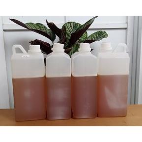 

Banjir Promo 3.3 Madu Odeng Madu Hutan Murni asli 1Kg Model Terbaru