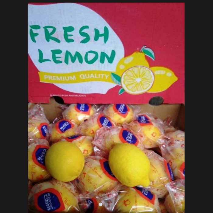 

FRUIT FRESH LEMON INFORT