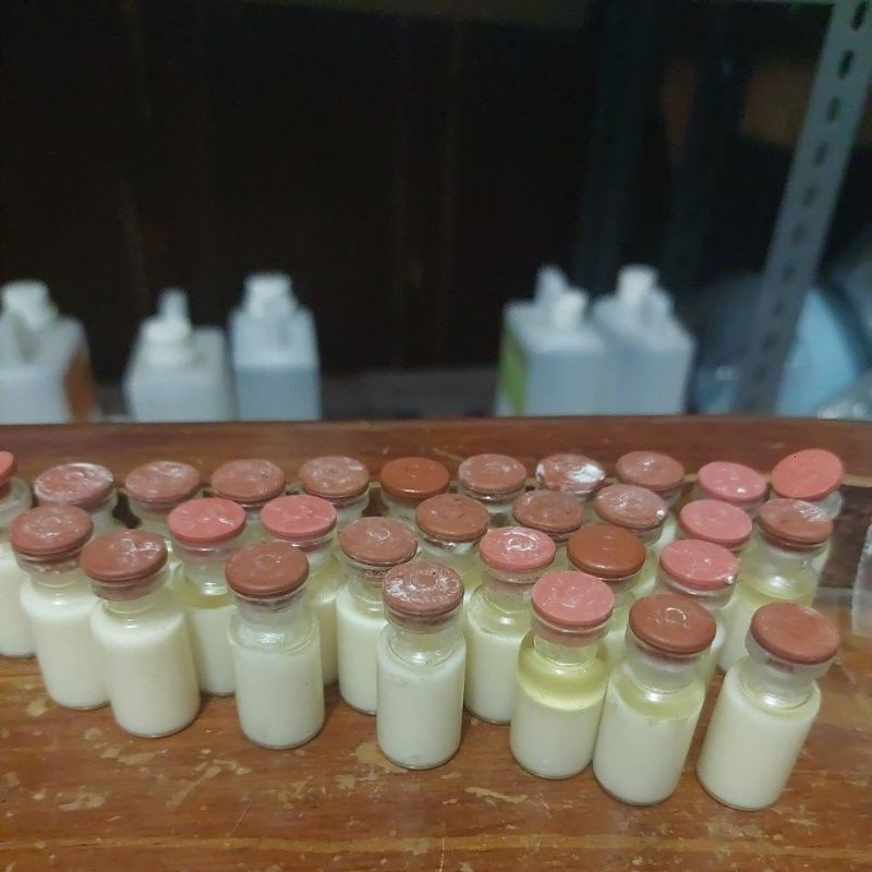 MINYAK PINISILIN/PANISILIN 3ML ORIGINAL