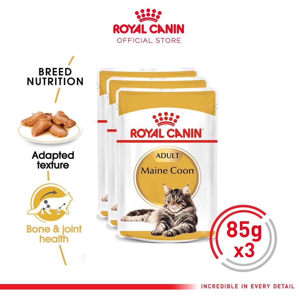 Royal Canin Maine Coon Adult (85g x 3 pouches) Wet Makanan Kucing Dewasa - Feline Breed Nutrition
