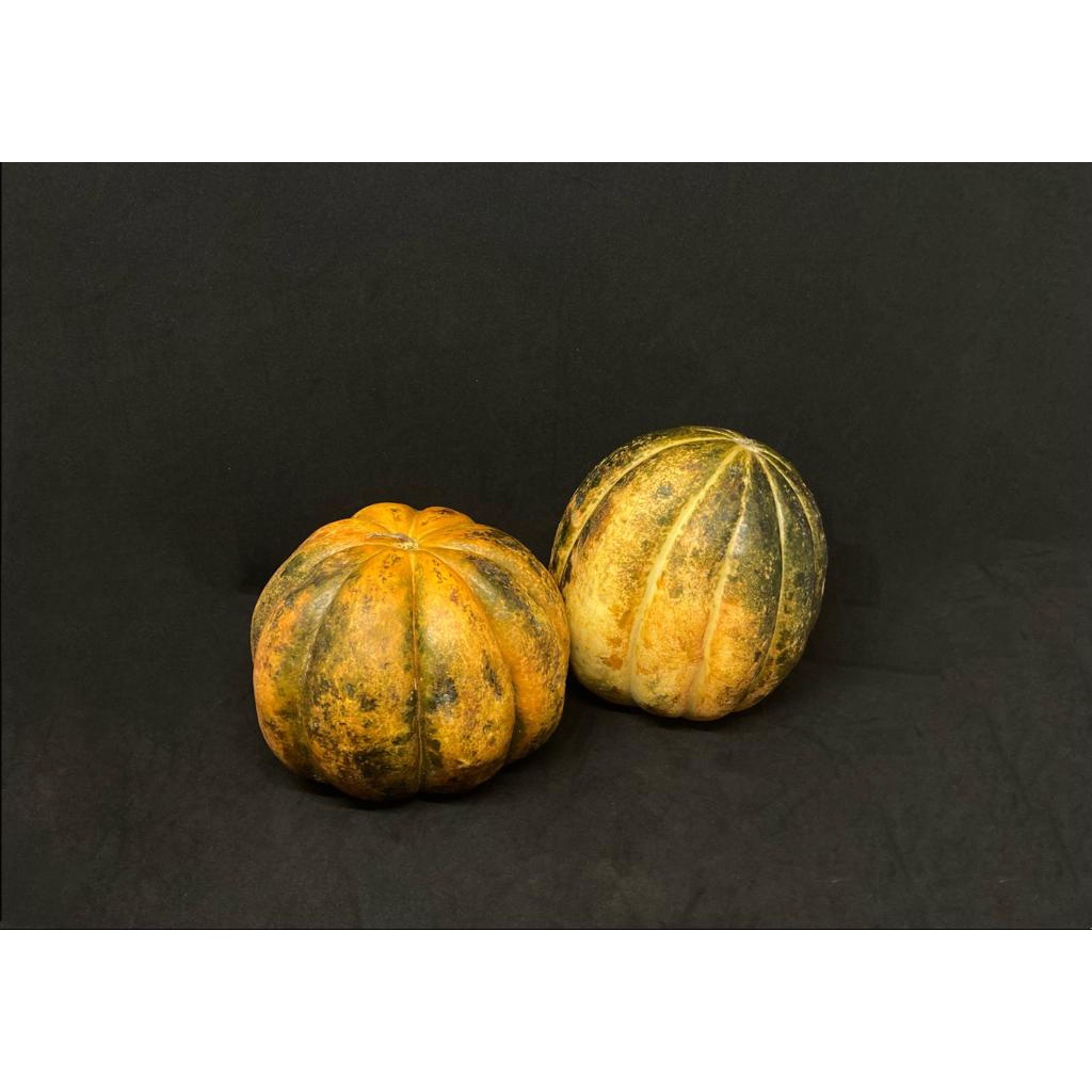 

Buah belewah segar, garbis blewah/belewah, buah belewah