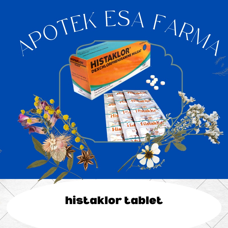 HISTAKLOR TABLET - Obat Anti Gatal Alergi Kulit 10tablet