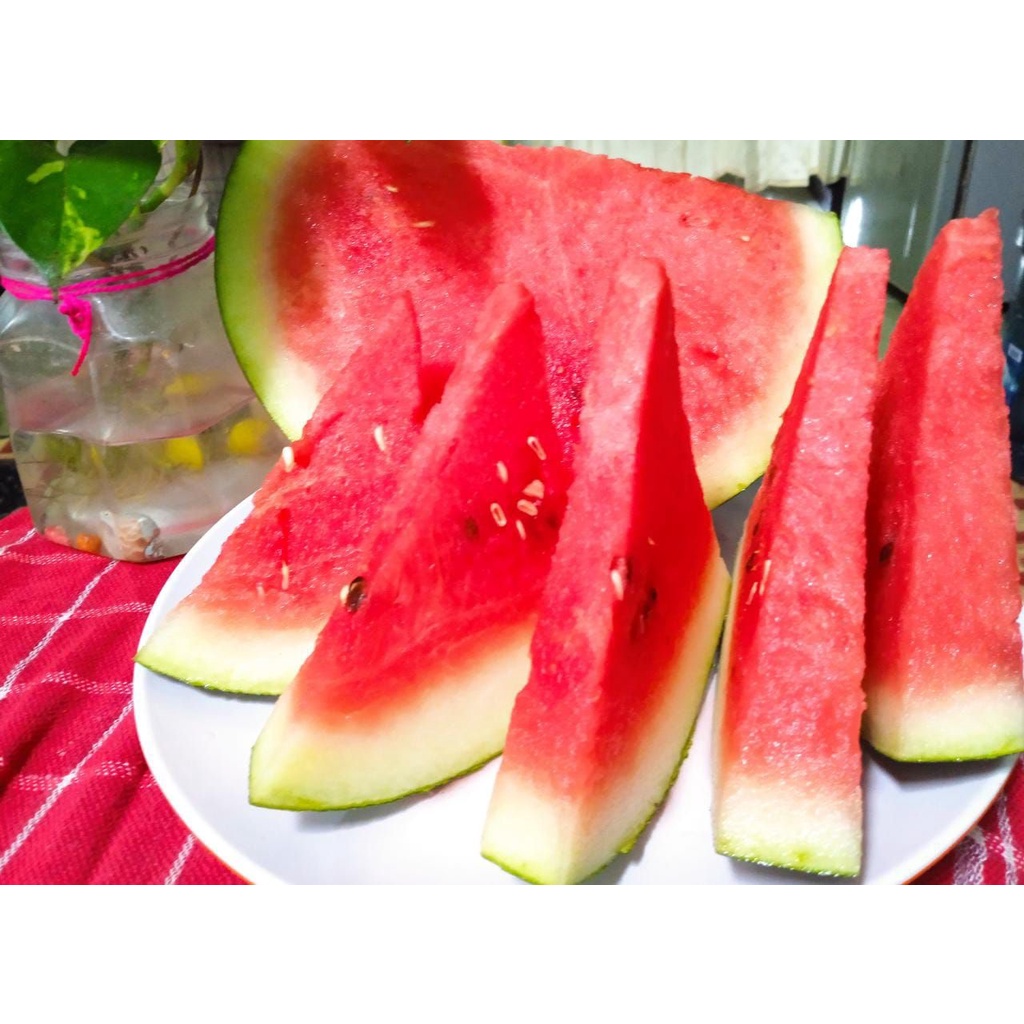 

Buah Semangka Segar - Buah Potong - Buah Segar Fresh Per Iris