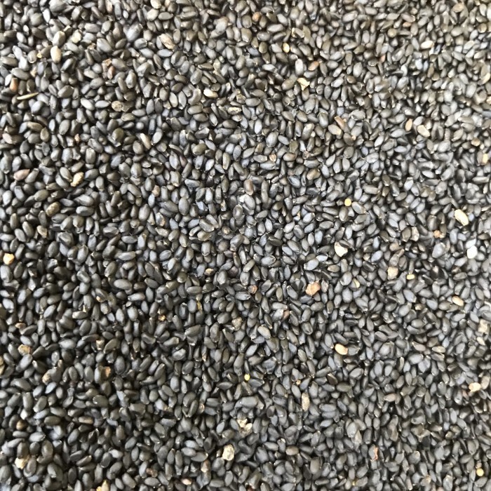 

SELASIH BASIL SEED 250 GRAM SANGAT AMPUH MANJUR