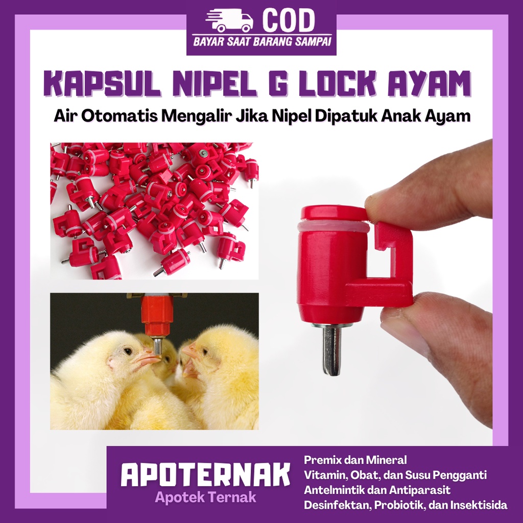 Kapsul Nipel Ayam kecil merah | Kapsul Nipple | Nipple Kapsul | Nipel Kapsul | Nipple Kapsul | G Lock J Lock | Kapsul A9, A5, A3