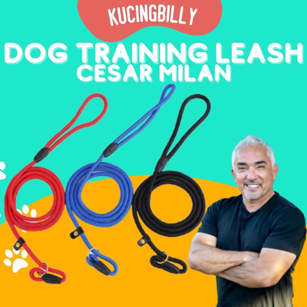 Cesar millan tali tuntun anjing Dog leash