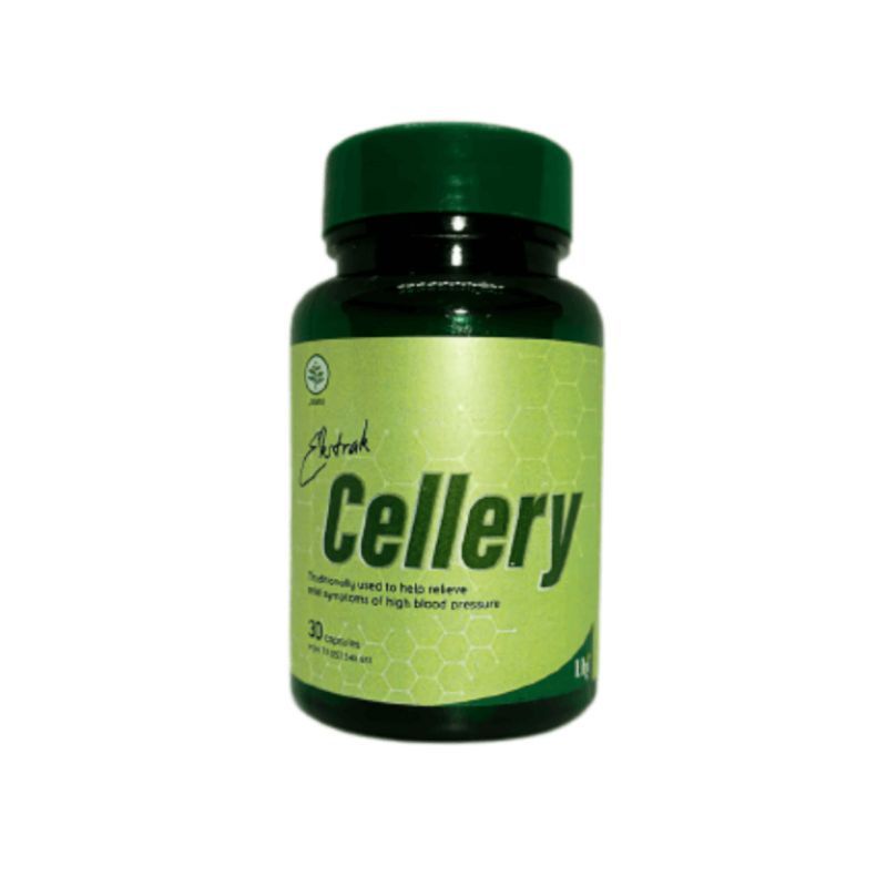 cellery obat darah tinggi cellery herbal cellery obat hipertensi