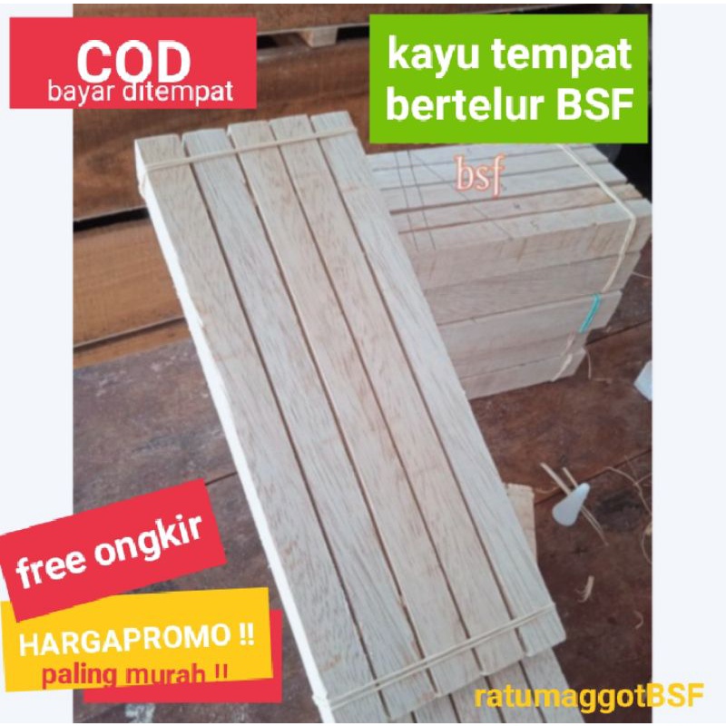 PROMO  EGGIS kayu telur maggot bsf