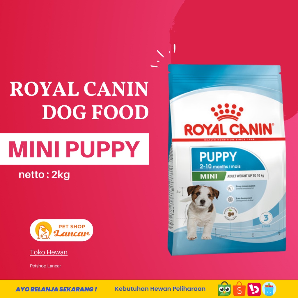 Royal Canin Mini Junior 2Kg - Makanan Anjing (Dog Food)