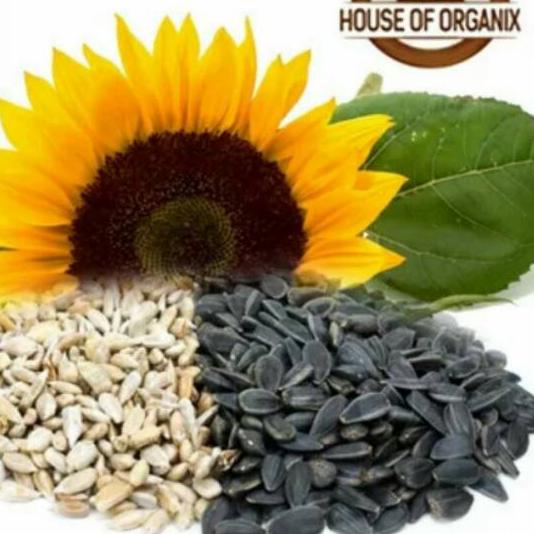 

✼ Sunflower Seeds (Biji Bunga Matahari) atau kuaci 1000 Gr Ω