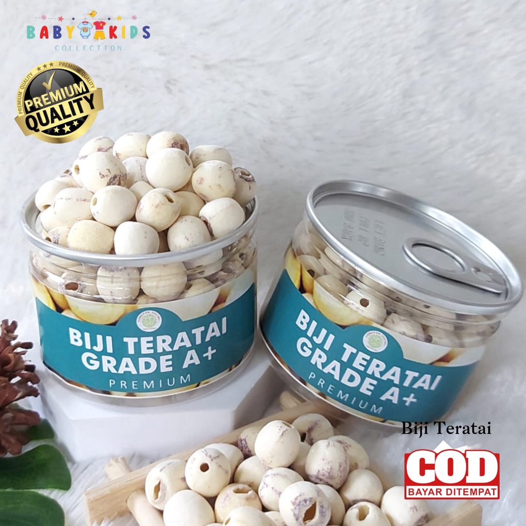

Can Biji Teratai Grade A+ White Lotus Seed Lian Zi Kualitas Premium