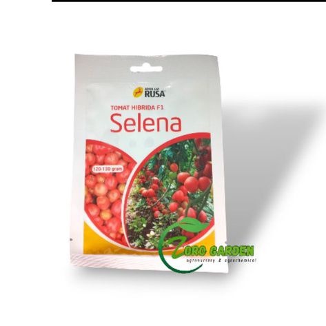 BENIH/BIBIT TOMAT SELENA