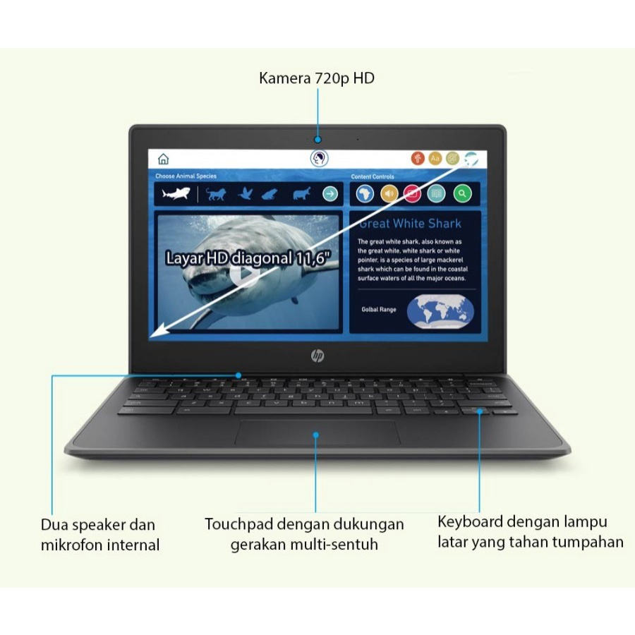 Laptop HP Chromebook 11 G8 N4020 4GB 160GB 11&quot; HD Chrome OS Laptop Pelajar Murah