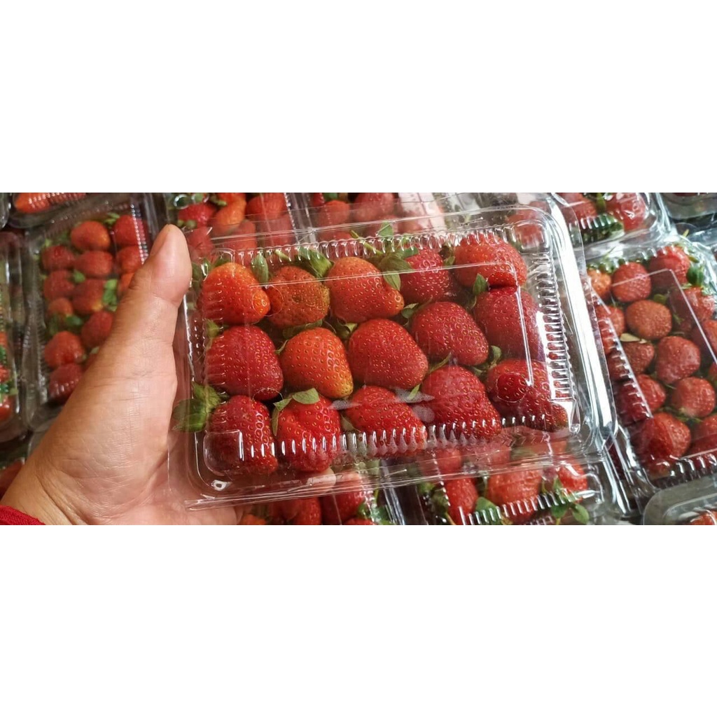 Buah Strawberry Fresh dari Kebun Premium Grade A Kemasan 1 Kg (Khusus Gosend)