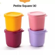 Petite Square Tupperware