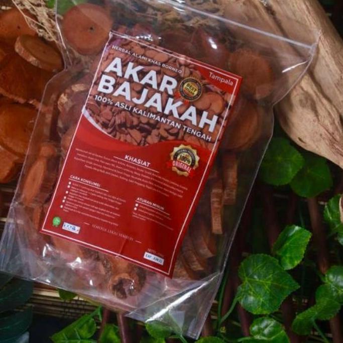 

♬ AKAR BAJAKAH TAMPALA MERAH ASLI KALIMANTAN 500g ☀