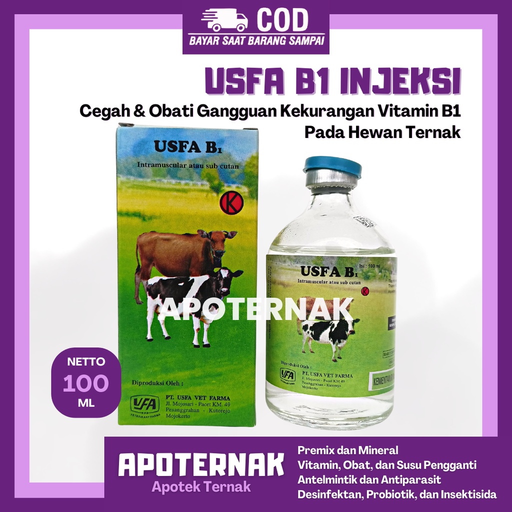 Vitamin B1 100 mL USFA seperti B1 wonderindo