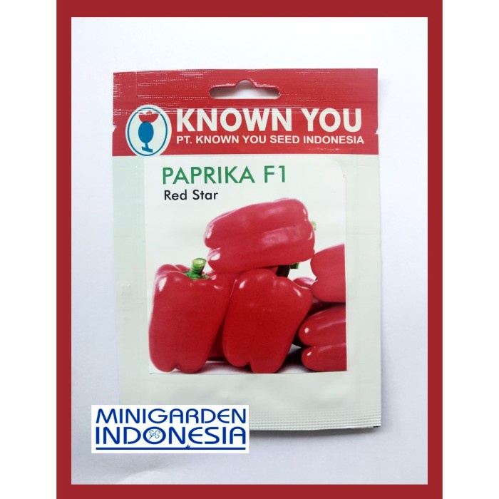 Benih Paprika Merah Red Star PACK KECIL 25 Biji Bibit Sayuran F1 Known You Seed