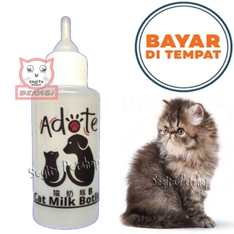 Botol Susu Anak Kucing Botol Susu Anak Anjing Hewan