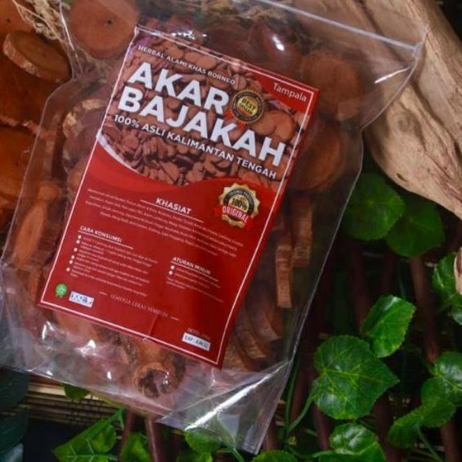 

♀ AKAR BAJAKAH TAMPALA MERAH ASLI KALIMANTAN 500g ➼
