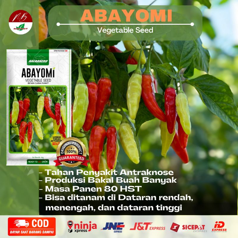 Benih Cabai Rawit Abayomi 10gr CABAI UNGGULAN TERBAIK tersedia juga ( kaliber viral absolut langgeng