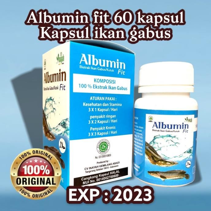 Extra Ikan Gabus Albuminfit