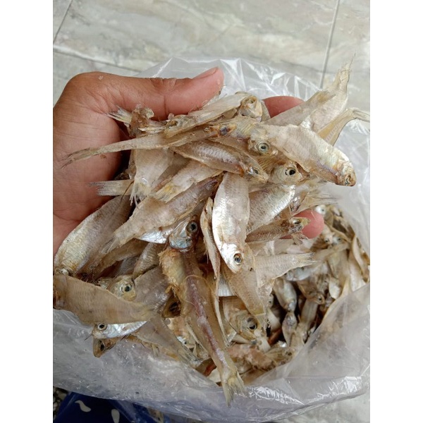 

ikan asin Srinding