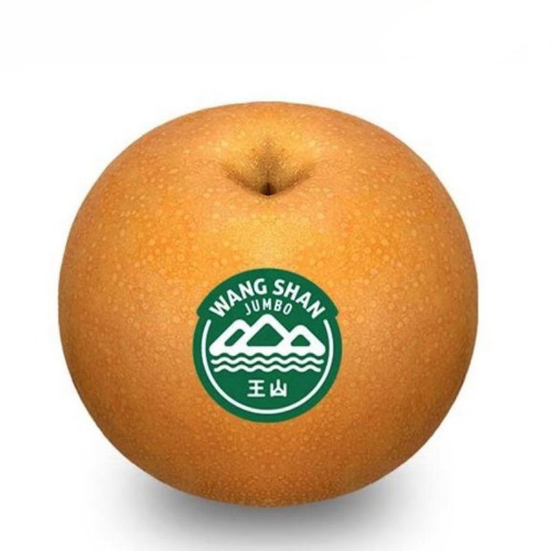 

Pear Singo Wangshan Size 20 Per Kg (Manis)