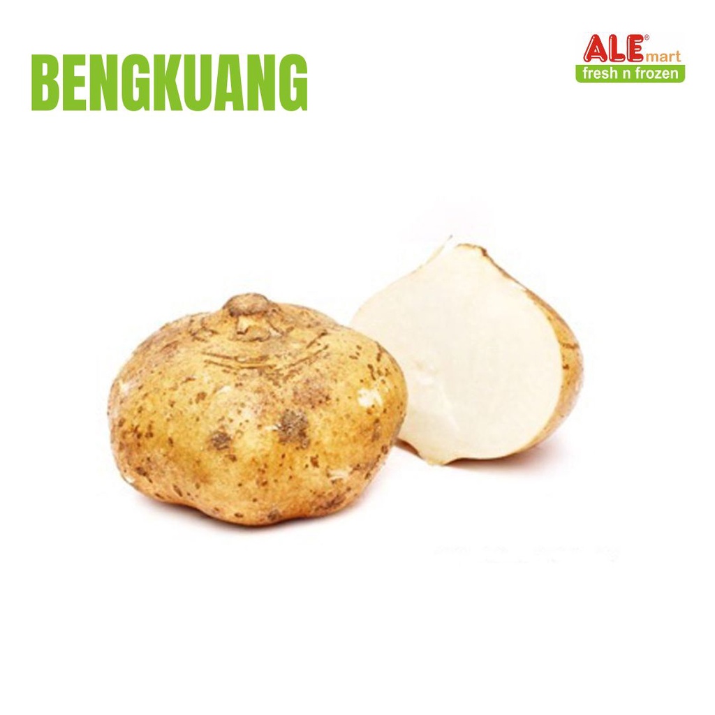 

Bengkoang fresh, buah bengkoang segar, buah bengkoang