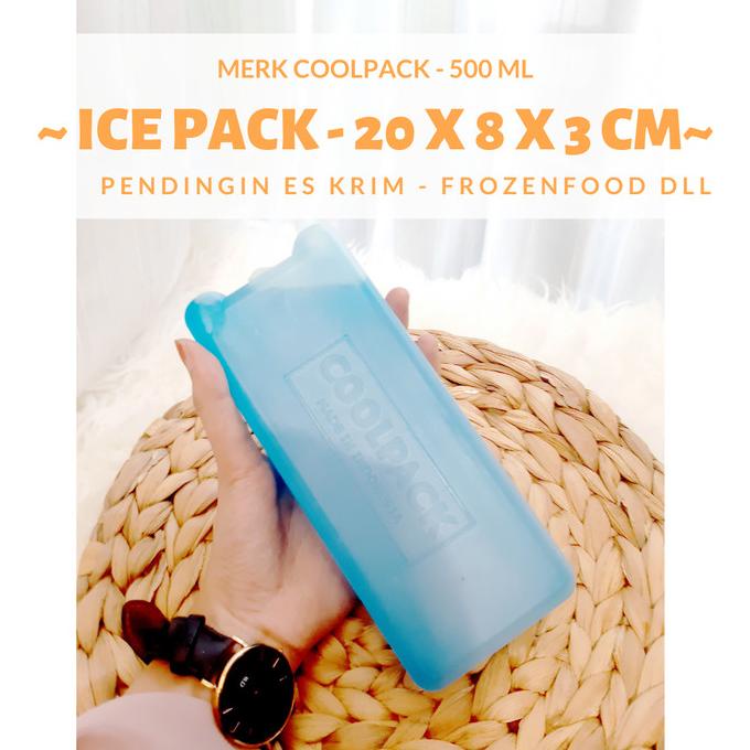 :::::::] Ice Pack -es cooler | Alternatif Pengganti Kulkas 20 x 8 x 3 Cool APck