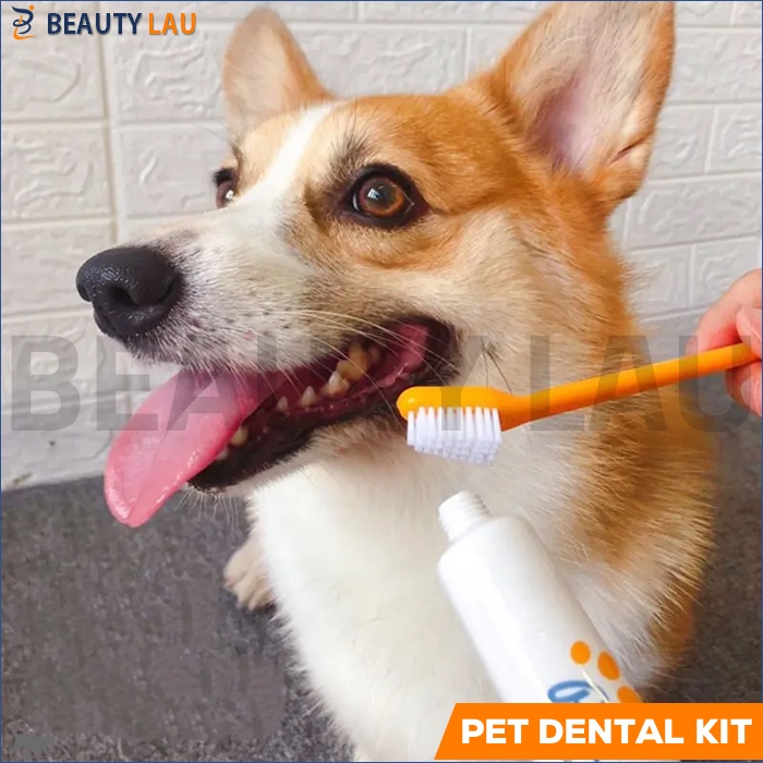 1SET SIKAT ODOL PASTA GIGI KUCING ANJING PET DENTAL GEL PET TOOTHBRUSH  TOOTHPASTE