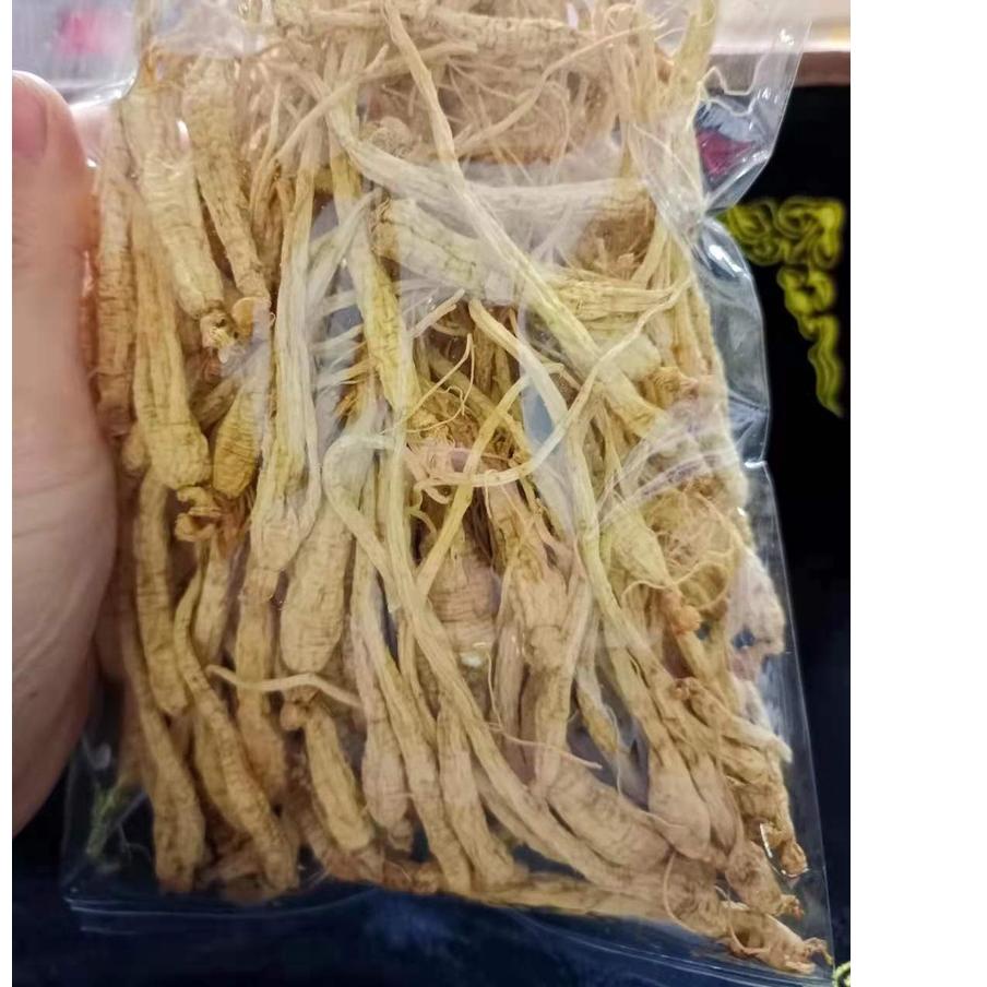 

☟ Anak Ginseng kering 小干参 100 gram lebih hemat ➽