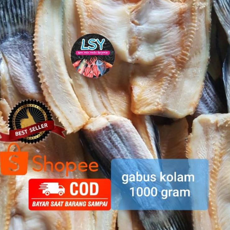 

℗ ikan asin gabus kolam size besar 1kg ❈