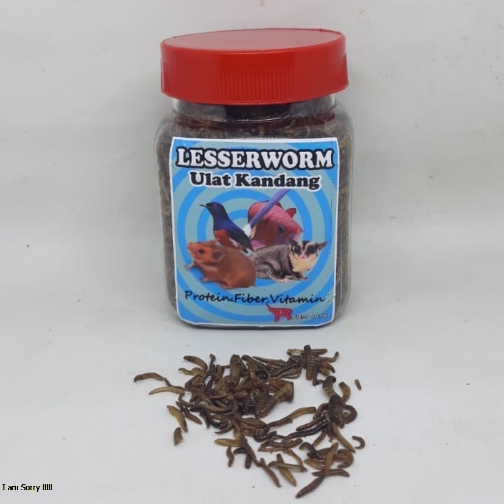 ULAT KANDANG KERING LESSERWORM 50 GR TOPLES PAKAN BURUNG HAMSTER