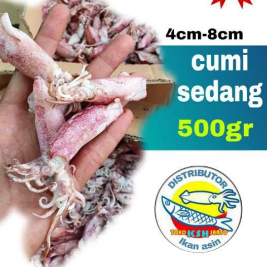 

✱ Ikan asin cumi-500gram ✮