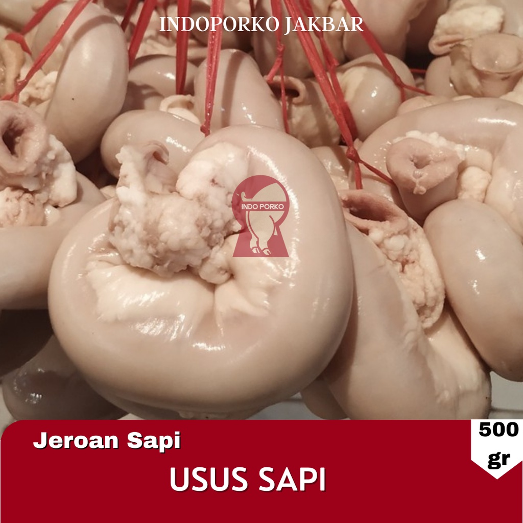 Jeroan iso Usus Pendek Sapi Tambusu Tamusu