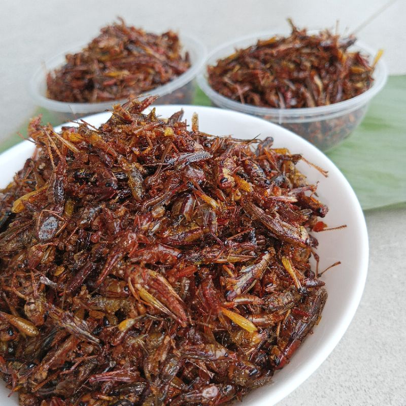 

Belalang Goreng 1kg, Paling Enak dan Rekomendasi
