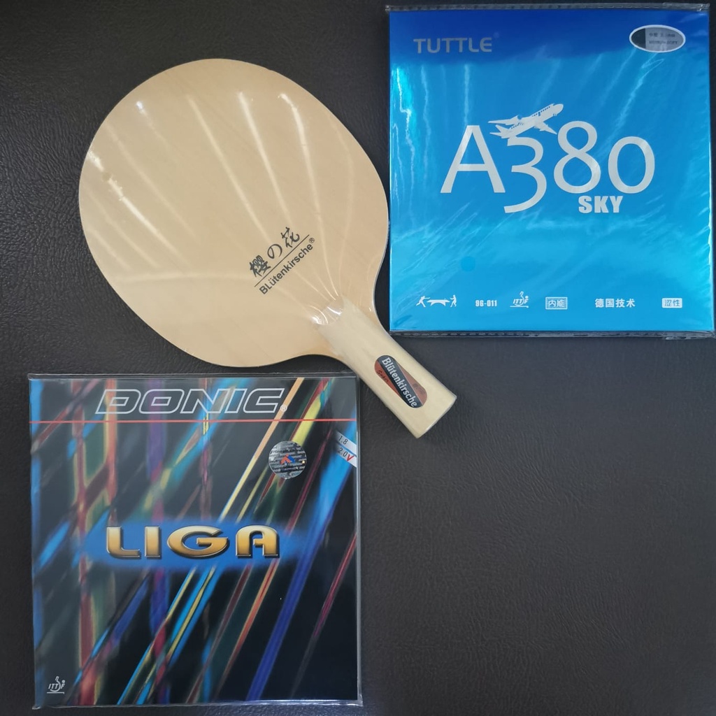 Bat tenis meja pen holder B 2015 Full Hinoki plus karet serang Set