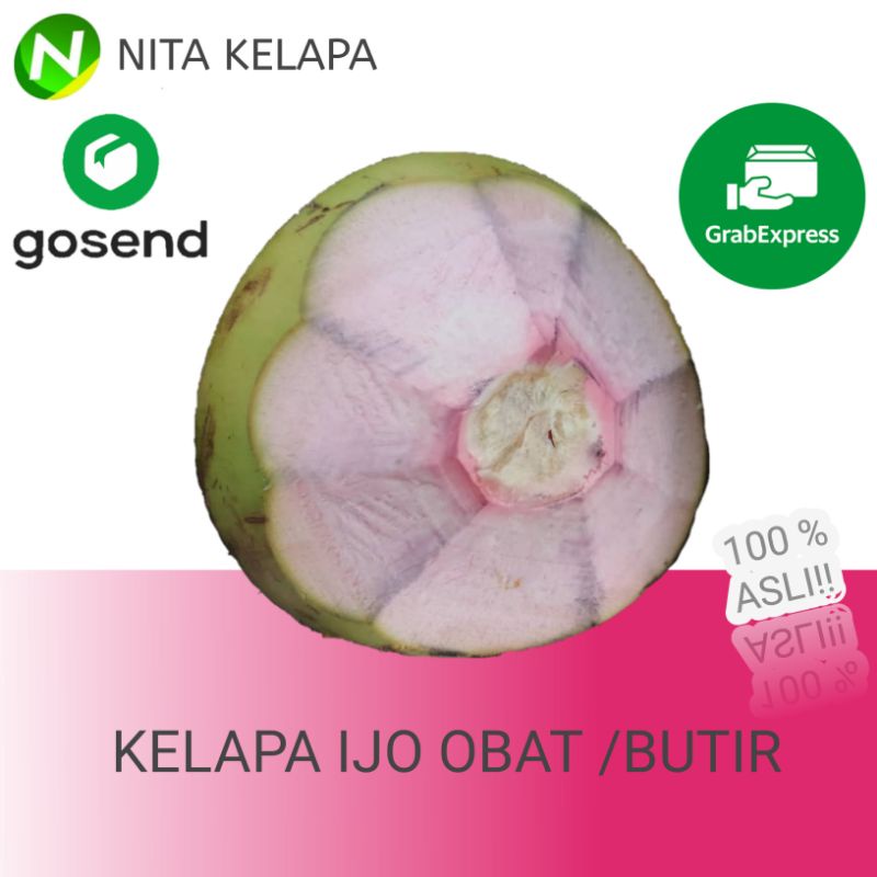 

Kelapa Ijo Obat Merah Asli Berkhasiat Murah