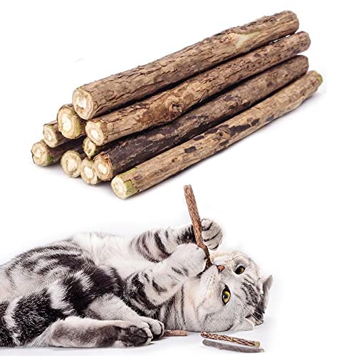 ECERAN Catnip Stick Snack Kucing / Treats Catnip Stick Kayu