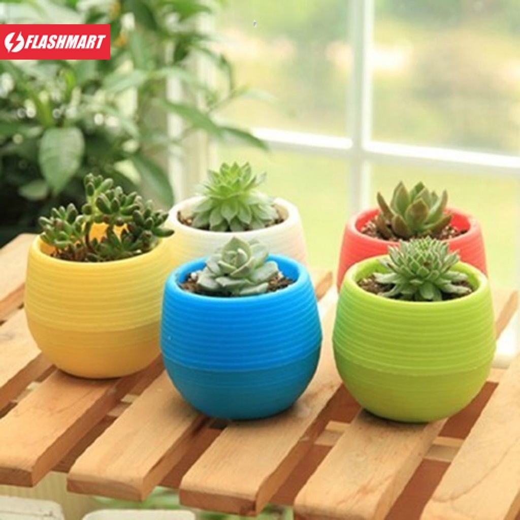 Flashmart Mini Pot Bunga Hias Kaktus Tanaman - 5pcs