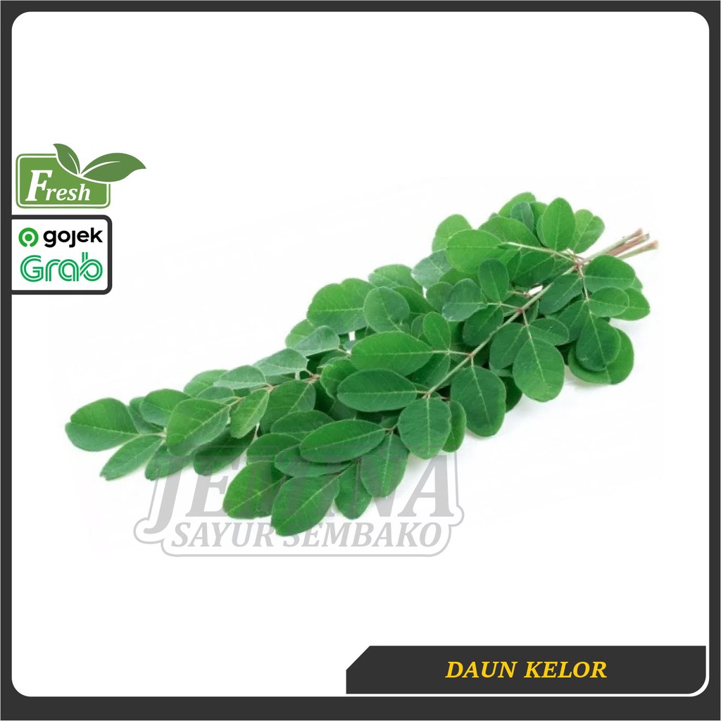 

[H+1] Daun Kelor 400gr ± • Sayur Segar Jemina