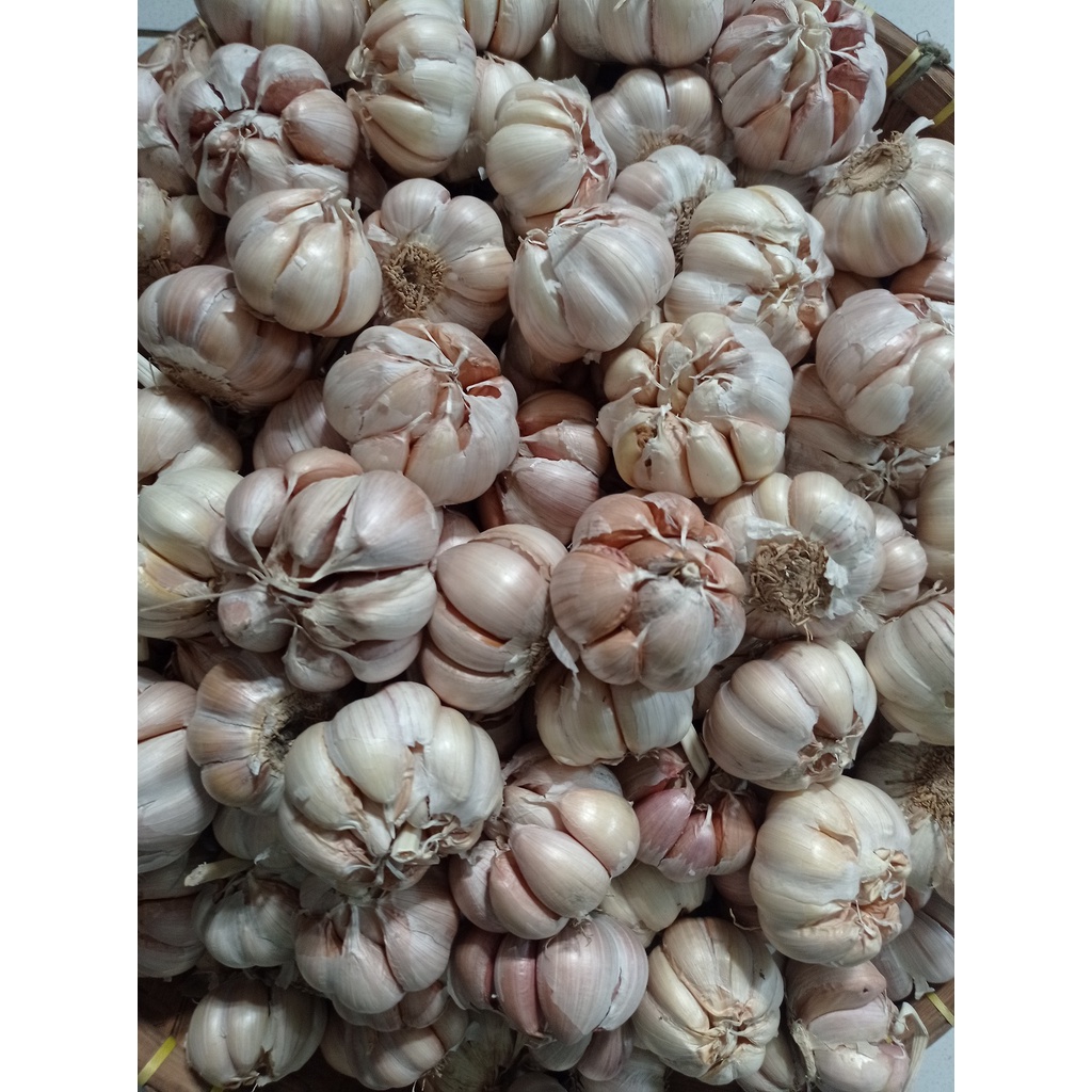 

BAWANG PUTIH HONAN BERSIH