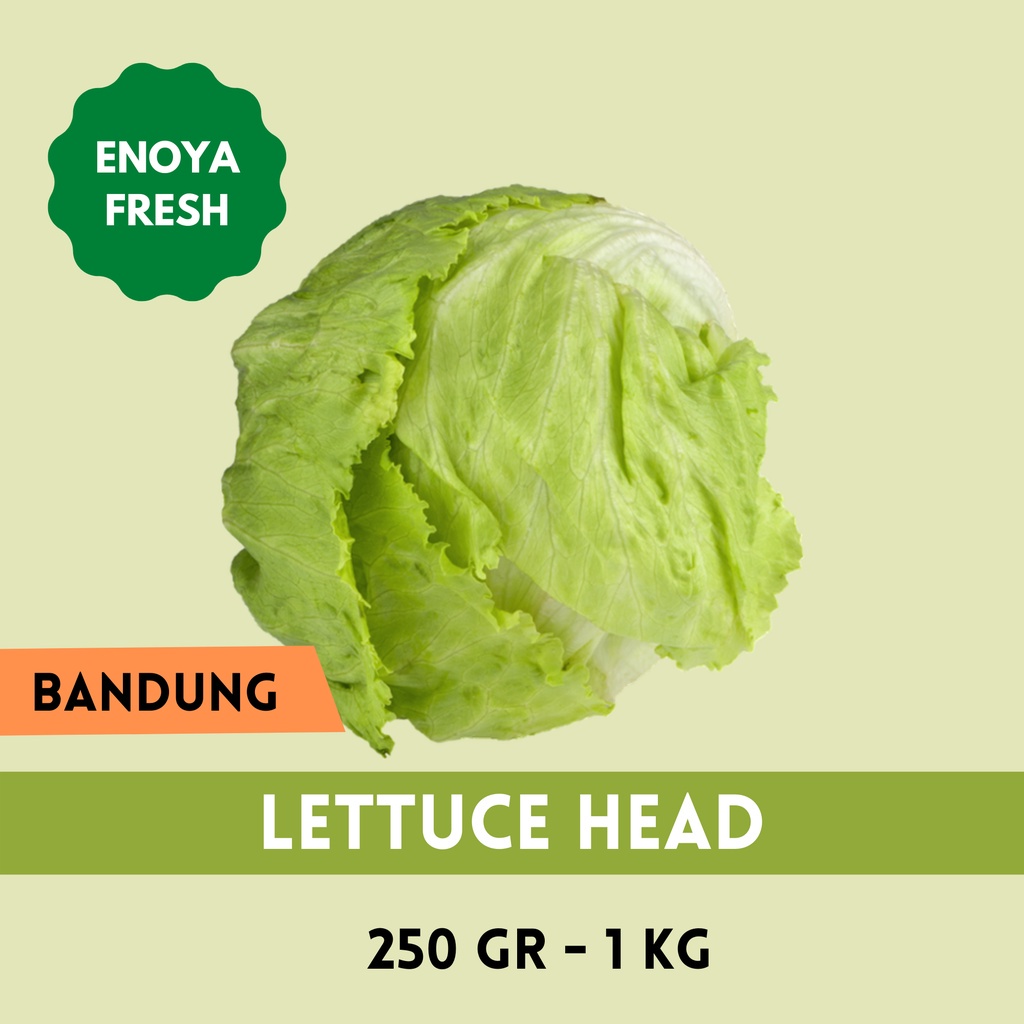 

Lettuce head 250 gram - 1kg Bandung