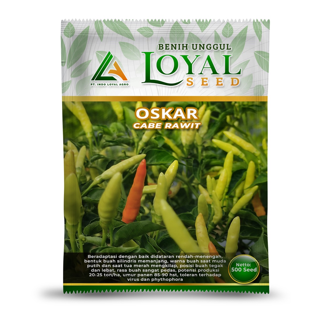BENIH CABE RAWIT OSKAR / BIBIT CABE RAWIT OSKAR CAP LOYAL SEED KEMASAN 500 BUTIR CABE CAKRA BENIH UN